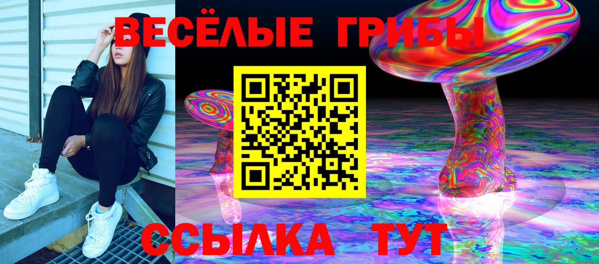 Псилоцибиновые грибы мицелий Карачаевск