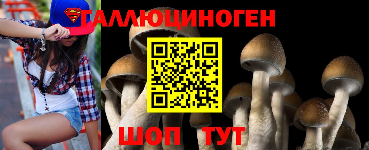 Карачаевск  Псилоцибиновые грибы Cubensis  Вход с VPN  Галлюциногенные грибы ЛСД 